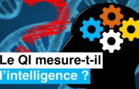 Le QI mesure-t-il l’intelligence ? 🧠📏