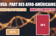 Surdélinquance africaine : causes réelles (biologie, QI, etc.) et mensonges divers