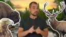 Il faut réensauvager l’Europe ! Wild Side #3